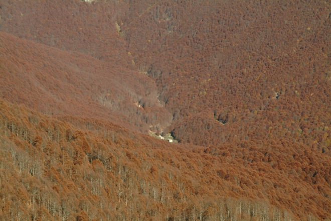 Escursione nel P.N. d''Abruzzo